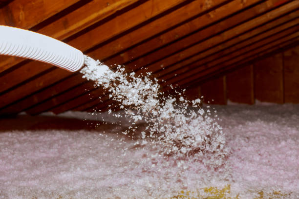 Best Insulation Installation Services in Mountain View Ranches, AZ