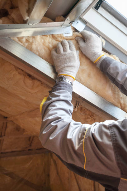 Best Insulation Installation Services in Mountain View Ranches, AZ